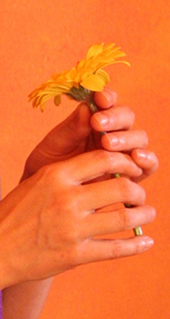 Blume Massage